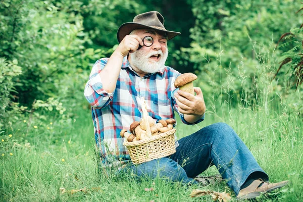 Mushrooming in forest, Grandfather hunting mushrooms over summer forest background. Grandfather with basket of mushrooms and a surprised facial expression. — Stock Photo, Image