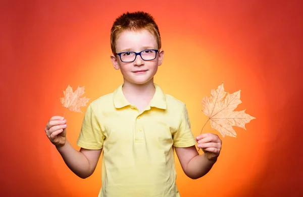 Leende pojke leker med löv och tittar på kameran. Barn annonserar din produkt och dina tjänster. Höststämning och vädret är varmt och soligt och regn är möjligt. Kid spelar i höst. — Stockfoto