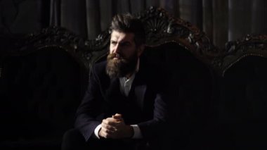 Şık takım elbiseli milyoner lüks kanepeye oturur. Klasik iç ciddi yüzü olan olgun adam. Güven, başarı, stil, moda, mobilya konsepti. Uzun sakallı vahşi adam veya işadamı.