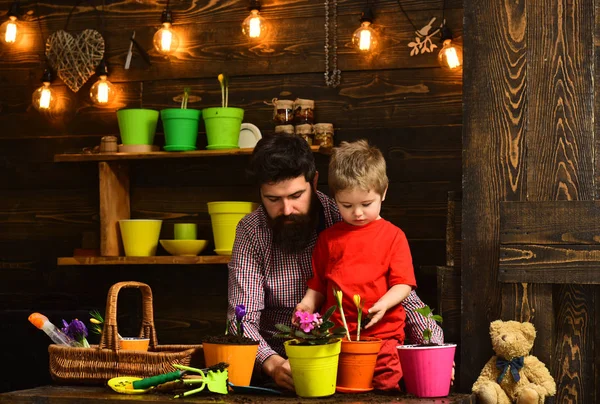 Innaffiatura cura dei fiori. Concimi del suolo. giardinieri felici con fiori primaverili. Padre e figlio. Festa dei padri. Giornata di famiglia. Serra. uomo barbuto e bambino bambino amano la natura. Vivi intensamente — Foto Stock