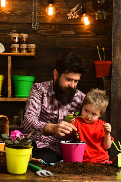 bearded man and little boy child love nature. happy gardeners with spring flowers. Father and son. Family day. Greenhouse. Flower care watering. Soil fertilizers. Like what you do