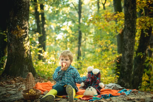 Rahatlamak için bir dakika. Oyuncak ayıyla sonbahar pikniği. Ormanda dinlenen lastik çizmeli çocuk piknik battaniyesi ile otursun. Sevimli turist konsepti. Oyuncaklı çocuk ekose orman pikniğe oturmuş. Sonbahar doğasında çocuk rahatlayın — Stok fotoğraf
