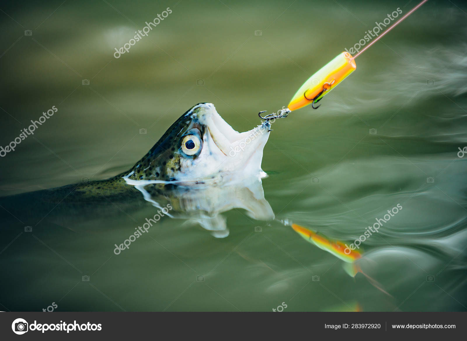 Fisherman and Fish on the Fly fishing method for