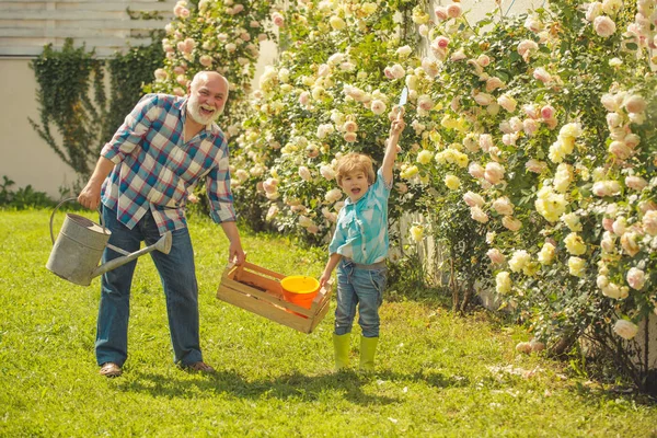 Abuelo y nieto. Viejo y joven. Concepto de edad de jubilación. Pequeño ayudante en el jardín. Jardinero mayor barbudo en un jardín urbano . — Foto de Stock