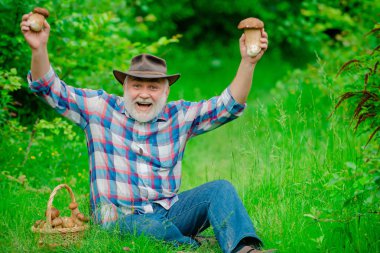 Mantar sepeti ve sürpriz bir yüz ifadesi ile büyükbaba. Mutlu Büyükbaba - yaz ve hobiler. Yaşlı adam yürüyor - Emeklilik zamanı.