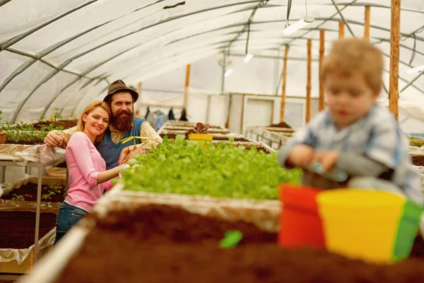 Üvegházhatást okozó család. boldog családi munka az üvegházhatást okozó. üvegházhatást okozó családi vállalkozás. növényházi kisgyerek Kertész család. -a ' az én-m kedvenc virága. — Stock Fotó