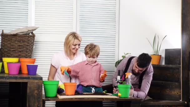 Padres e hijos plantando en el día de verano. Herramientas de jardín. Eco vivir. Trabajo familiar en una casa de campo. Familia de jardineros y biólogos. Mamá e hijo plantan flores y papá mira al microscopio. Contexto . — Vídeo de stock