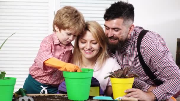 Family plant flowers in pot. Child with parents cares for plants together. Boy with mother, father gardening at home. Mom, dad and son planting flowers at home. Flower ground. Work for whole family. — Stock Video