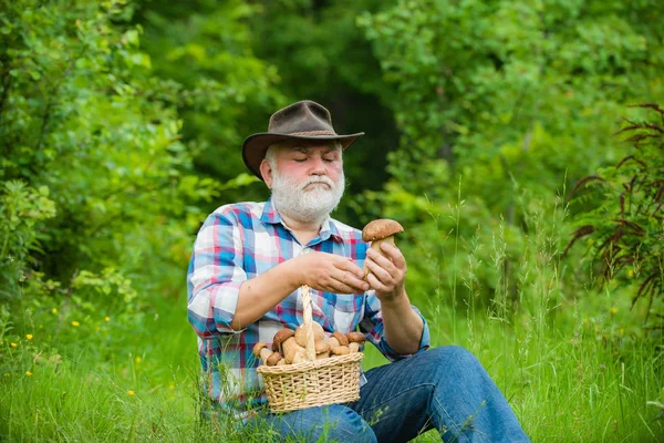 Busket avcılık mantar mantar ile Mutlu Büyükbaba. Mantar sepeti ve sürpriz bir yüz ifadesi ile Emekli.