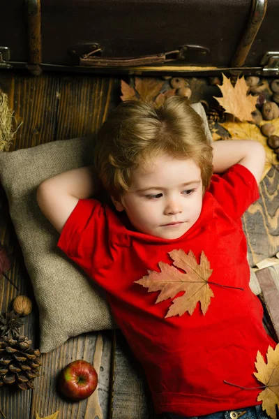 Маленький блондин, лежащий с листом на животе, лежит на деревянном полу в осенних листьях. Ребёнок играет осенью. Самые большие скидки на всю осеннюю одежду для детей. — стоковое фото