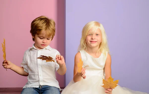 The big discounts for all autumn clothes for children. Little boy and girl in seasonal clothes with golden leaf.