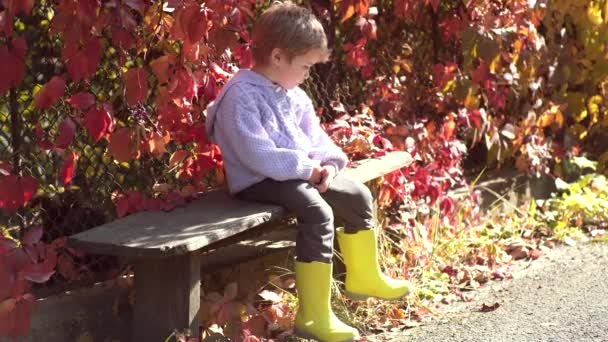 Gyönyörű gyermek pulóvert az őszi természet. Meleg őszi napsütéses időjárás. Aranyos gyerek fiú szórakozik az őszi parkban. Baby sárga leveles. Boldog gyermek nevet a szabadban őszi levelek háttér. — Stock videók