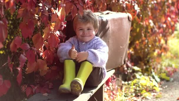 Lindo niño sentado en las hojas caídas de otoño en un parque. Niño pequeño y muy lindo en ropa vintage con maleta en el fondo de las hojas de otoño . — Vídeo de stock