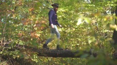 Adam parkta ağaçlara tırmanıyor. Güz sonbahar doğa arka planda yakışıklı adam. Ağaçta Climber adamı. Sonbahar adam ile otumnal Mood. Macera konsepti.