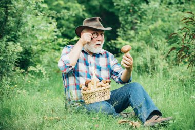 Mutlu Büyükbaba-yaz ve hobileri. Yaşlı adam yürüyor. Dede Emeklici. Ormanda kıdemli yürüyüş. Emeklilik. Mantar sepet ve sürpriz yüz ifadesi ile Büyükbaba.