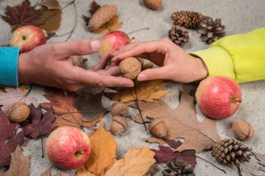 Reklam konsepti. Metniniz için yerleştirin. Moda satışı için yaprak sonbahar zamanı. Renkli sonbahar ve kuru sonbahar yaprağı. Sonbahar trend ve sonbahar Vogue.