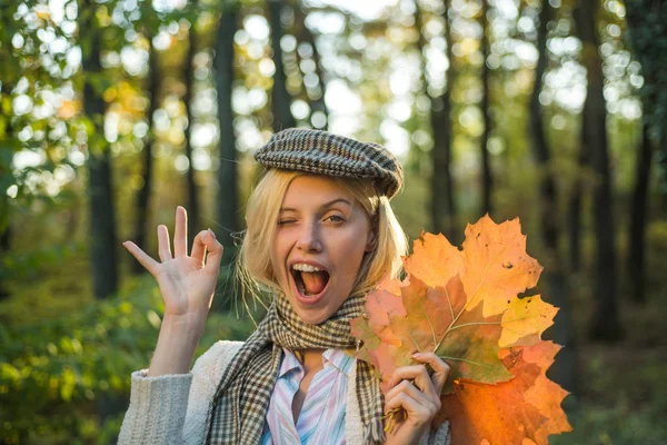 Boldog őszi lány wink, ok. Őszi szabadtéri légköri pillanatokat és álom. Ősszel és Lombhullás Dreams. Őszi hangulat. — Stock Fotó