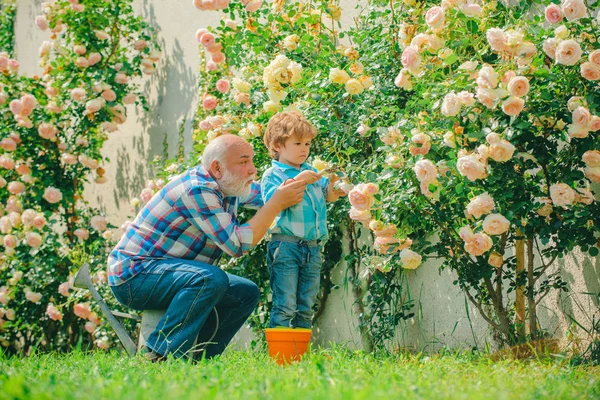 Grandfather and grandson. Old and Young. Concept of a retirement age. Gardening activity with little kid and family. lifestyle and family life. — Stock Photo, Image