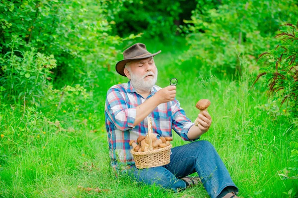 Happy dziadek-lato i hobby. Starzec chodzenie. Dziadek Emerer. Senior turystyka w lesie. Dziadek z koszem grzybów i wyraz twarzy zaskoczony. — Zdjęcie stockowe