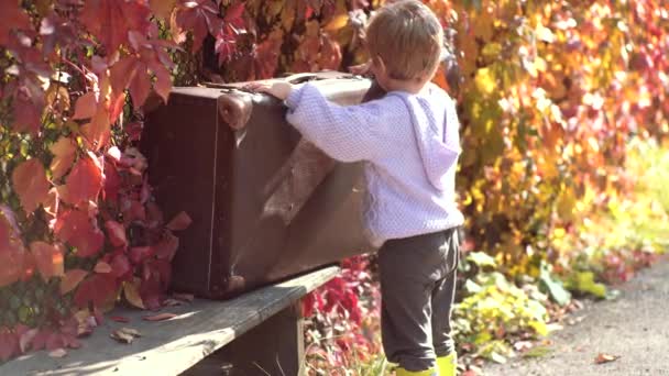 Att spela i höst parken. Bedårande pojke väntar med resväska. Falla lövverk. Autumn Baby Boy i höstlöv Park. Bedårande småbarn flicka porträtt på vackra höstdagen. — Stockvideo