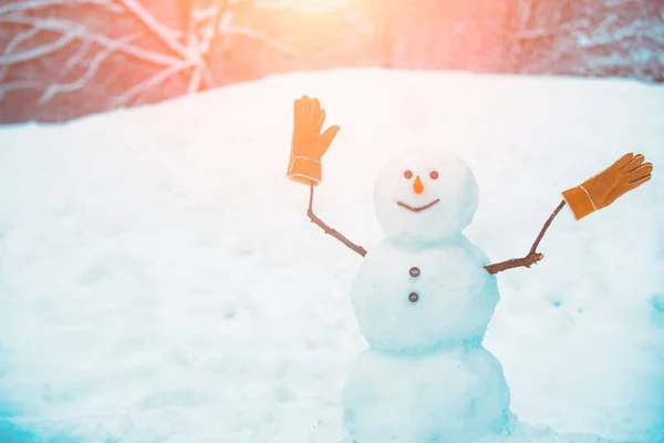 Приветствую снеговика. Милые снеговики стоят в зимнем рождественском пейзаже. Утром перед Рождеством. Счастливого зимнего времени. Милый маленький снеговик на свежем воздухе . — стоковое фото