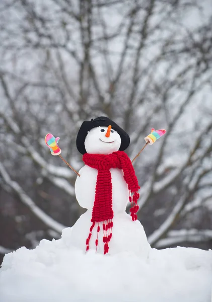 Leuke sneeuwpoppen staan in Winter Kerst landschap. Sneeuwpop met een zak van geschenken. Kerst sneeuwpop close-up met sjaal. — Stockfoto