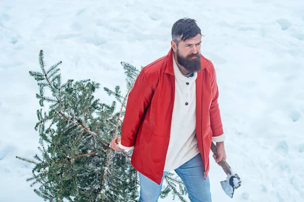 Sakallı adam eve bir Noel ağacı taşır. Kar Bahçe Noel ağacı kesme kereste Kış portresi. Adam bir Noel ağacı kesecek.. — Stok fotoğraf