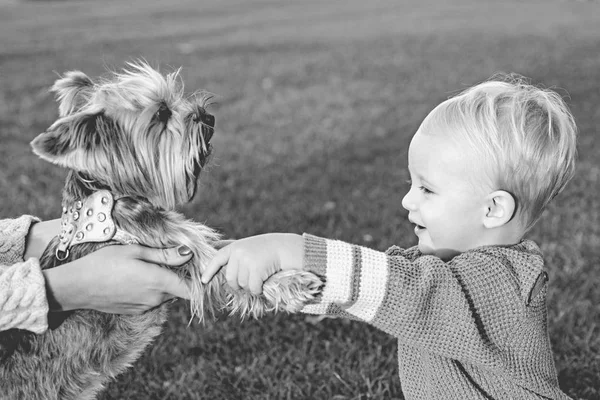 Prawdziwa przyjaźń. Najlepsi przyjaciele na zawsze. Szczęśliwego dzieciństwa. Słodkie wspomnienia z dzieciństwa. Dzieci bawią się z psem Yorkshire Terrier. Chłopiec Toddler cieszyć się wypoczynek z przyjacielem psa. Mały Baby Toddler chodzić z psem — Zdjęcie stockowe