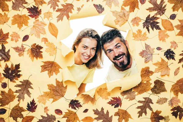 Autumn couple wearing in autumn clothes and looks very sensually. Romantic couple wearing pullover on autumn leaves background. Joyful couple is happy with the last warm days of autumn.