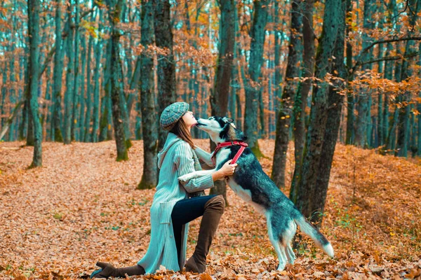 Feliz menina do outono. Parque de mulheres de outono. Mulher nova bonita que joga com cão husky engraçado ao ar livre no parque. Hora de outono, novembro . — Fotografia de Stock