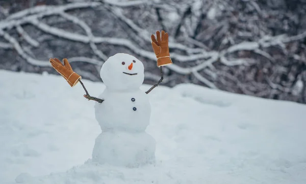 Hombre de nieve en el parque de invierno. El hombre de la nieve está de pie en el parque de invierno con la nariz roja. Muñecos de nieve divertidos . — Foto de Stock