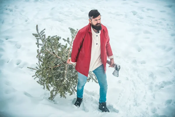 Cortador de madera con hacha en el bosque de invierno. Madera de Navidad con hacha y árbol de Navidad. Árbol de Navidad cortado. El barbudo lleva un árbol de Navidad en el bosque. . — Foto de Stock