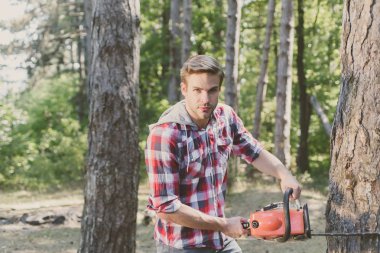 Ormanda testere ile kereste işçisi. Ormanda elektrikli testere tutan profesyonel bir oduncu. Tahta testereyi tutan oduncu.
