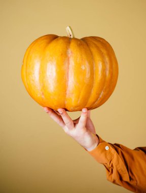 Şükran Günü yemeği. Mutlu Cadılar Bayramı. Turuncu arka planda elle izole edilmiş balkabağı