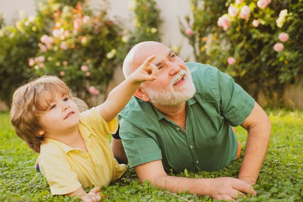 Feliz padre e hijo en el prado en verano. Lindo niño abrazando a su abuelo. Abuelo con hijo y nieto divirtiéndose en el parque. Salud estilo de vida familiar . —  Fotos de Stock