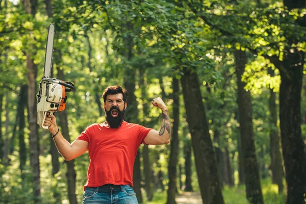 Cortador de madera con hacha o motosierra en el bosque de verano. Trabajador de madera parado en el bosque con motosierra . — Foto de Stock