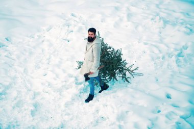 Adam bir Noel ağacı kesecek. Sakallı adam ormanda Noel ağacı taşıyor. Tema Noel tatili kış yeni yıl. Modern Noel Baba. Yeni yıl partisi.