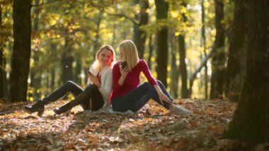 İş açık havada. Doğada çalışmak. Genç blogcu, blog konsepti. Online öğrenme, e-öğrenme kavramı. Sonbaharda düşen yapraklar üzerinde oturan genç kızlar parkta yapraklar. Sonbahar günü.