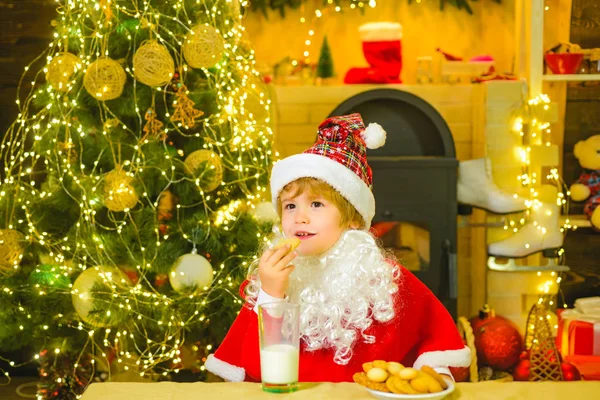 Santa Claus holding Christmas cookies and milk against Christmas tree background. Cookies for kids Santa Claus. Kid Santa Claus enjoying in served gingerbread cake and milk. — Stock Photo, Image