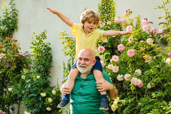 Vater gibt Sohn im Park zurück Zwei verschiedene Generationen: Großvater und Enkel zusammen. — Stockfoto