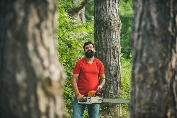 Un bel giovanotto con la barba porta un albero. Operaio boscaiolo che cammina nella foresta con la motosega. Operaio boscaiolo in piedi nella foresta con motosega . — Foto Stock