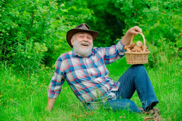 Grzybobranie w lesie, Dziadek polowania grzyby na tle lasu letniego. Dziadek z koszem grzybów i wyraz twarzy zaskoczony. — Zdjęcie stockowe