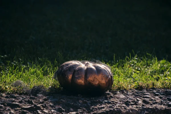 O símbolo de Véspera de Todos os Santos - Abóbora de ouro. Decoração de Halloween contra fundo verde. Decorações de Halloween . — Fotografia de Stock