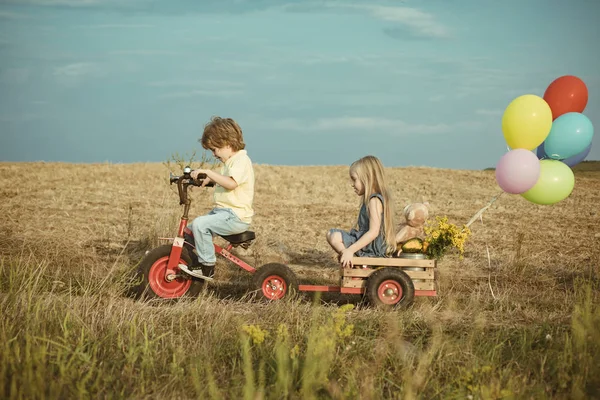 Criança ativa brincando e pedalando ao ar livre. Crianças agricultor na fazenda com fundo rural. Menina da criança bonito e menino trabalhando na fazenda ao ar livre. As crianças gostam na fazenda. Dia da Terra. — Fotografia de Stock