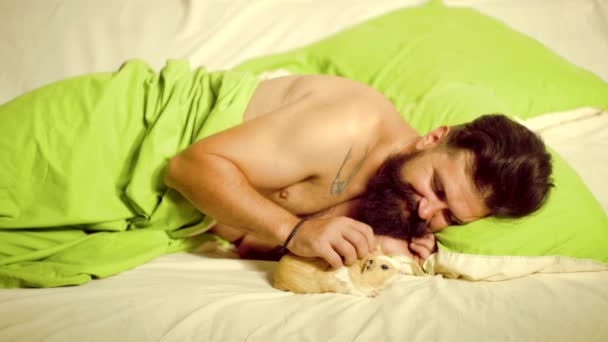 El hombre duerme en la cama con un conejillo. Feliz de dormir con su mascota. Chico acostado en la cama tratar de relajarse y dormir . — Vídeo de stock