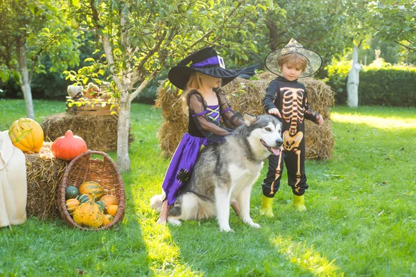 Happy Halloween, Cute Girl maluch i chłopiec gry na zewnątrz. Wesołego halloween. Halloween portret szczęśliwego cute dziecka. — Zdjęcie stockowe