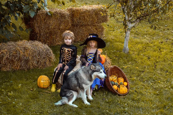 Kinderen glimlachen op een Halloween feest. Halloween kinderen genieten in het herfst Park op veld. Verrast groep kleine zombie in Halloween kostuum eten traktatie, calaverita snoep kaarsen. — Stockfoto