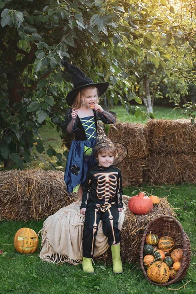 Halloween gyerekek élvezik az őszi parkban a területen. Halloween gyerekek ünnepek koncepció. Boldog halloween, aranyos kisgyermek lány és a fiú játszik a szabadban. Halloween édességek. — Stock Fotó