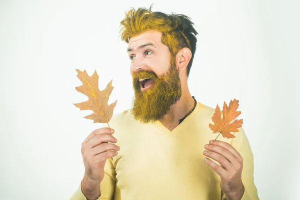 Hombre feliz jugando con hojas sobre un fondo blanco aislado. Cae feliz. Fondo con hojas de otoño. Venta de otoño. Hombre guapo de otoño sobre fondo de otoño. Tiempo de otoño para la moda . — Foto de Stock