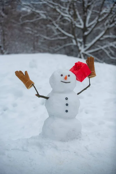 Snowmen-cadeau presenteert concept. Merry Christmas en Happy New Year wenskaart. Feestelijke kunst wenskaart. cute sneeuwpop in muts en sjaal op besneeuwde veld met verrassing kerstcadeau. — Stockfoto